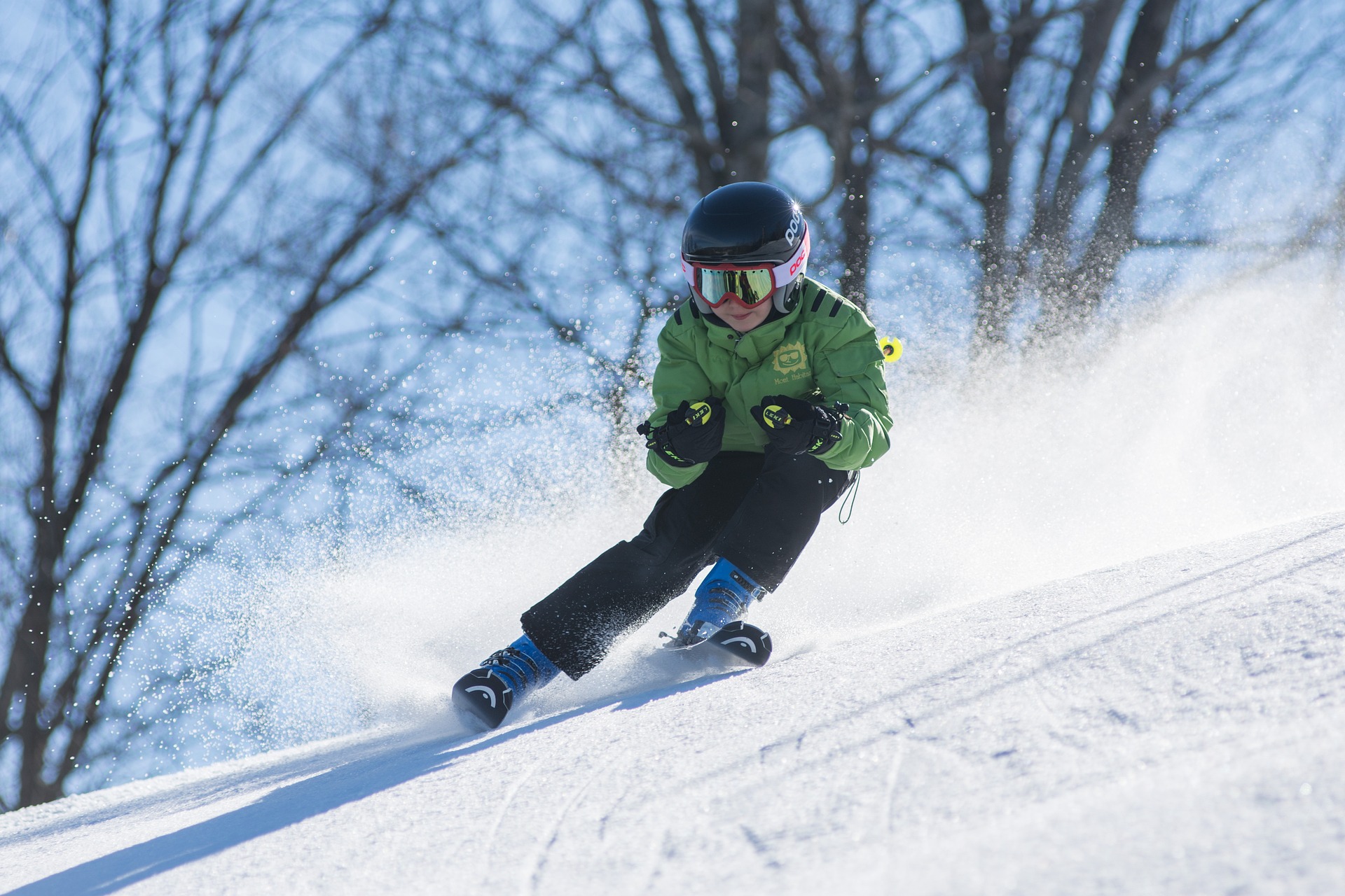 Conquering the Mountains: The Art and Science of Alpine Skiing