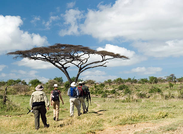 Reimagining the Traditional Trek: The Emergence of Walking Safaris
