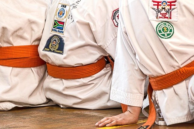 Becas de artes marciales: qué conviene comprobar