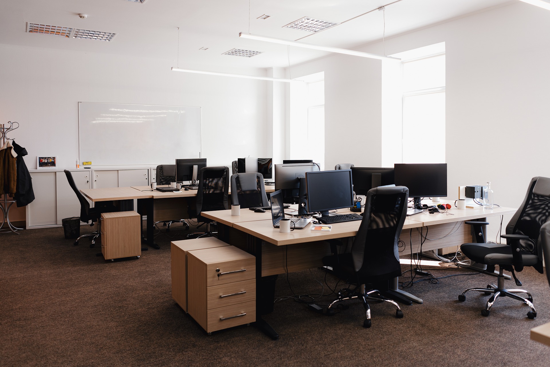 Future-Proofing Your Career: The Evolving Job Market 