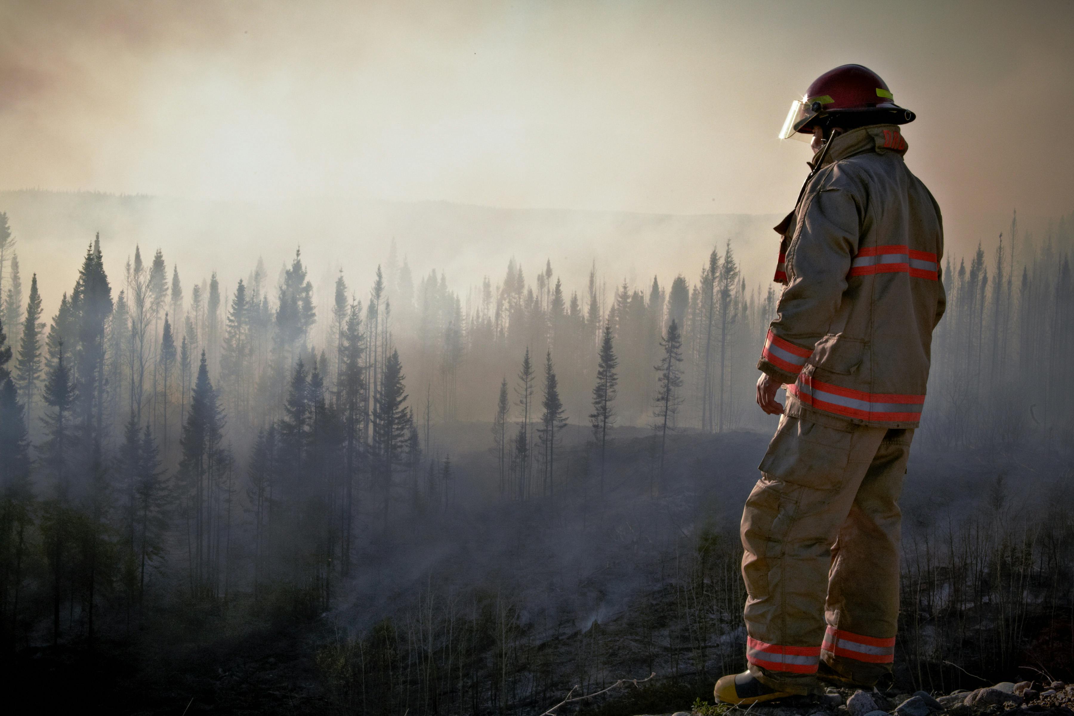 Understanding the Role and Impact of Telecommunications in Natural Disaster Management