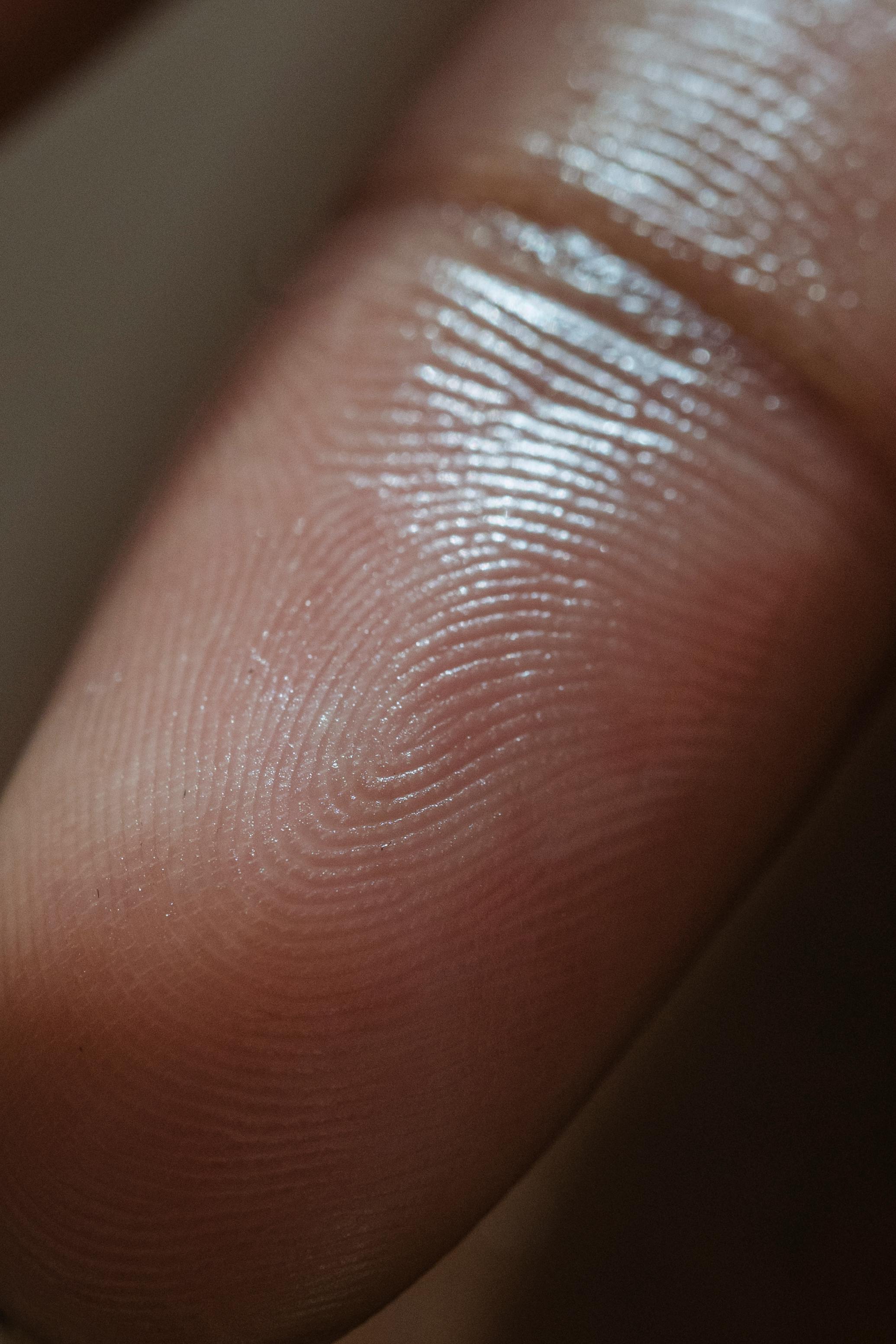 "A New Era: The Emergence of In-display Fingerprint Scanning"