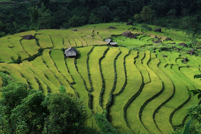 Ila Vietnam: Khám Phá Những Điều Tuyệt Vời Tại Đất Nước Này