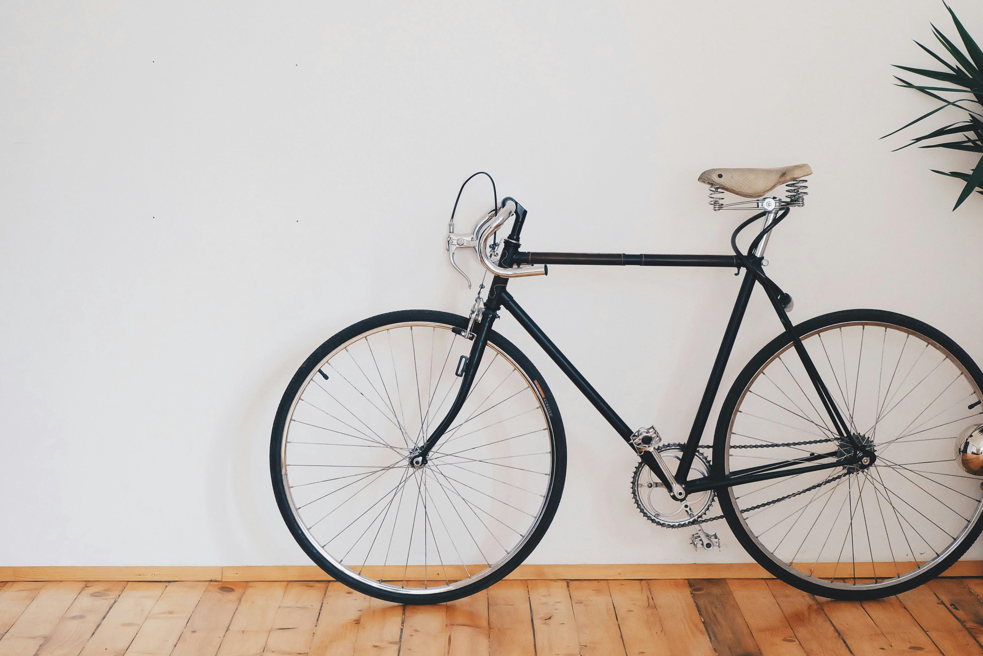 Reinventing the Wheel: The Unexpected Trend of Artistic Cycling