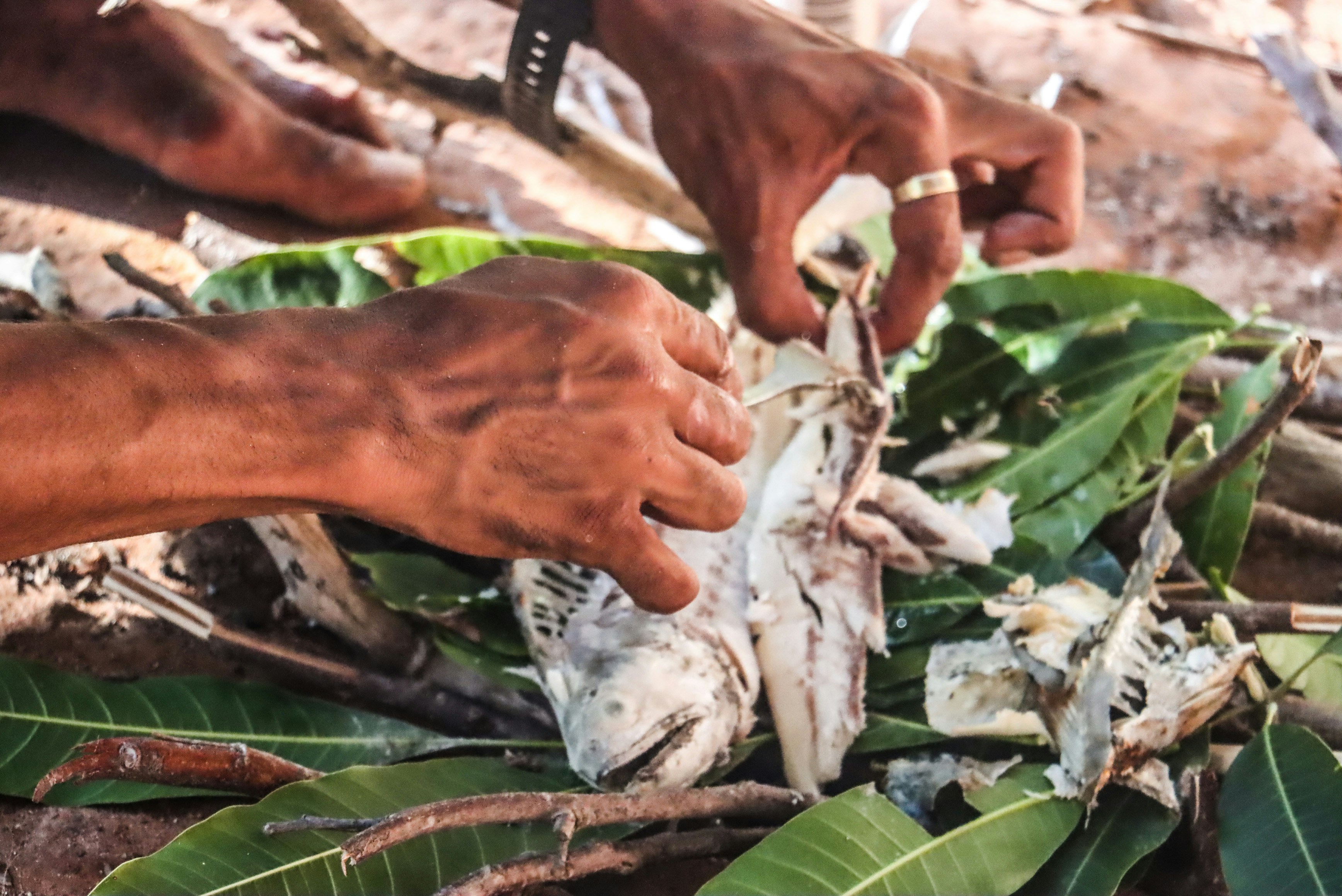 Discovering the Gastronomic Wonders of Indigenous American Cuisine