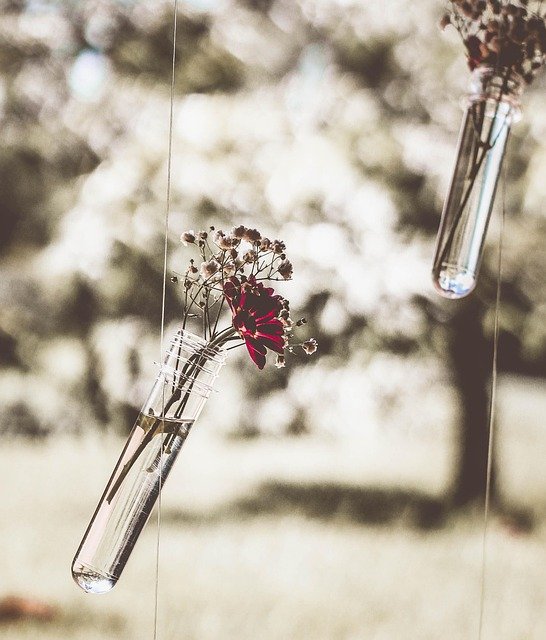 Floral Foam Alternatives: Revolutionizing Sustainable Floral Design