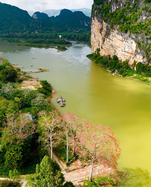 Cabañas de pesca junto al agua: cómo comparar precios y servicios en España