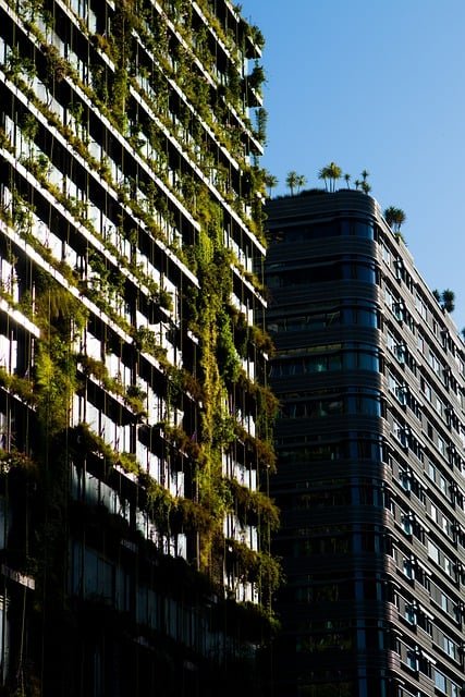 Casas Prefabricadas y Sostenibles: El Futuro de la Vivienda