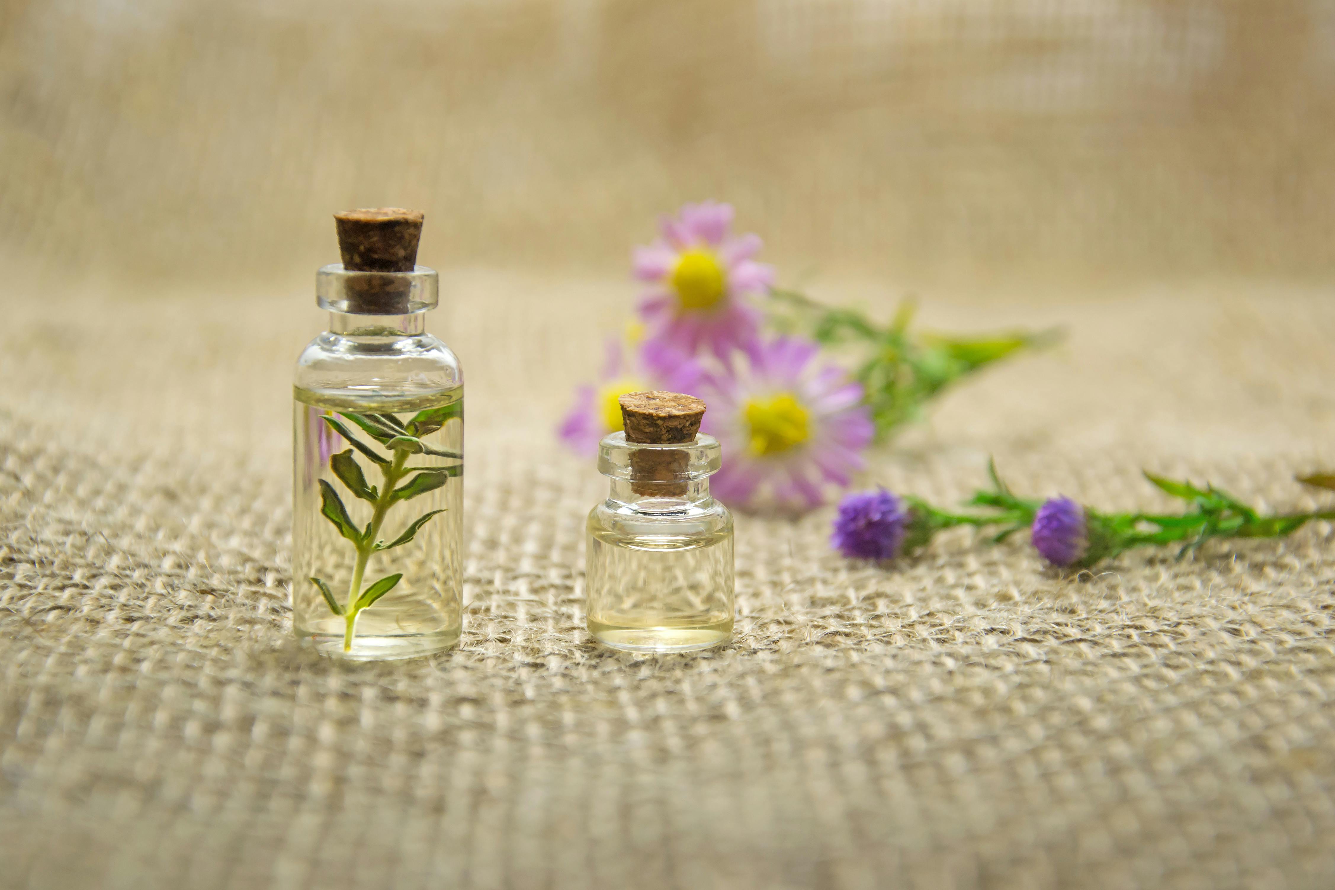 The Art and Science of Perfumery: A Deep Dive into the World of Fragrances