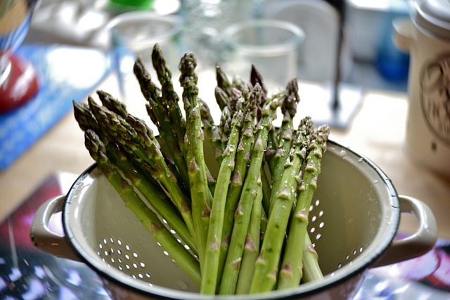 Plant Power: The Nutrition and Health Benefits of a Plant-Based Diet