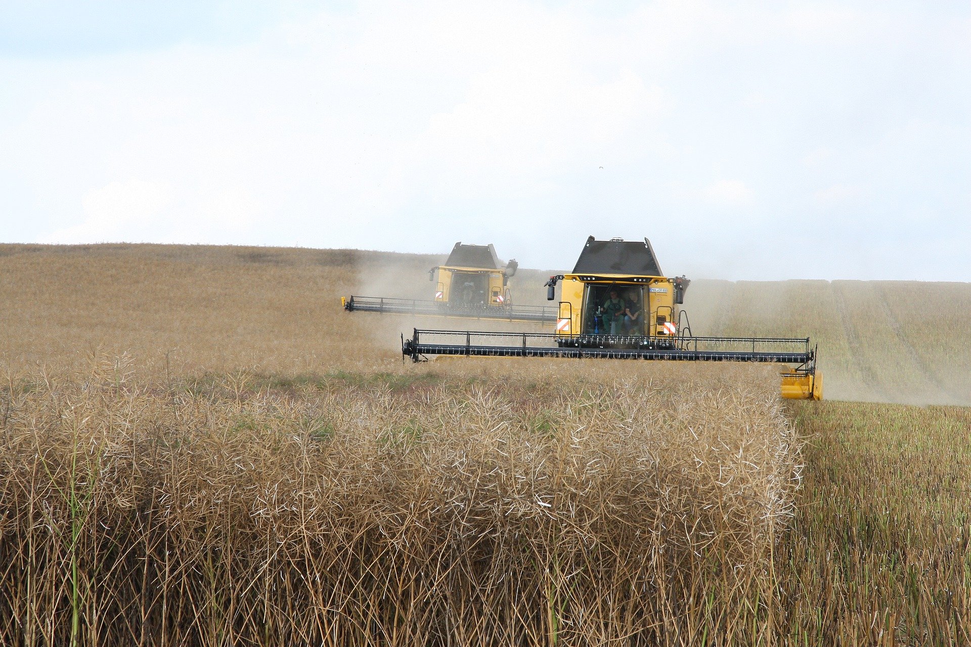 Tendencias emergentes en la industria agroalimentaria: Un vistazo al futuro