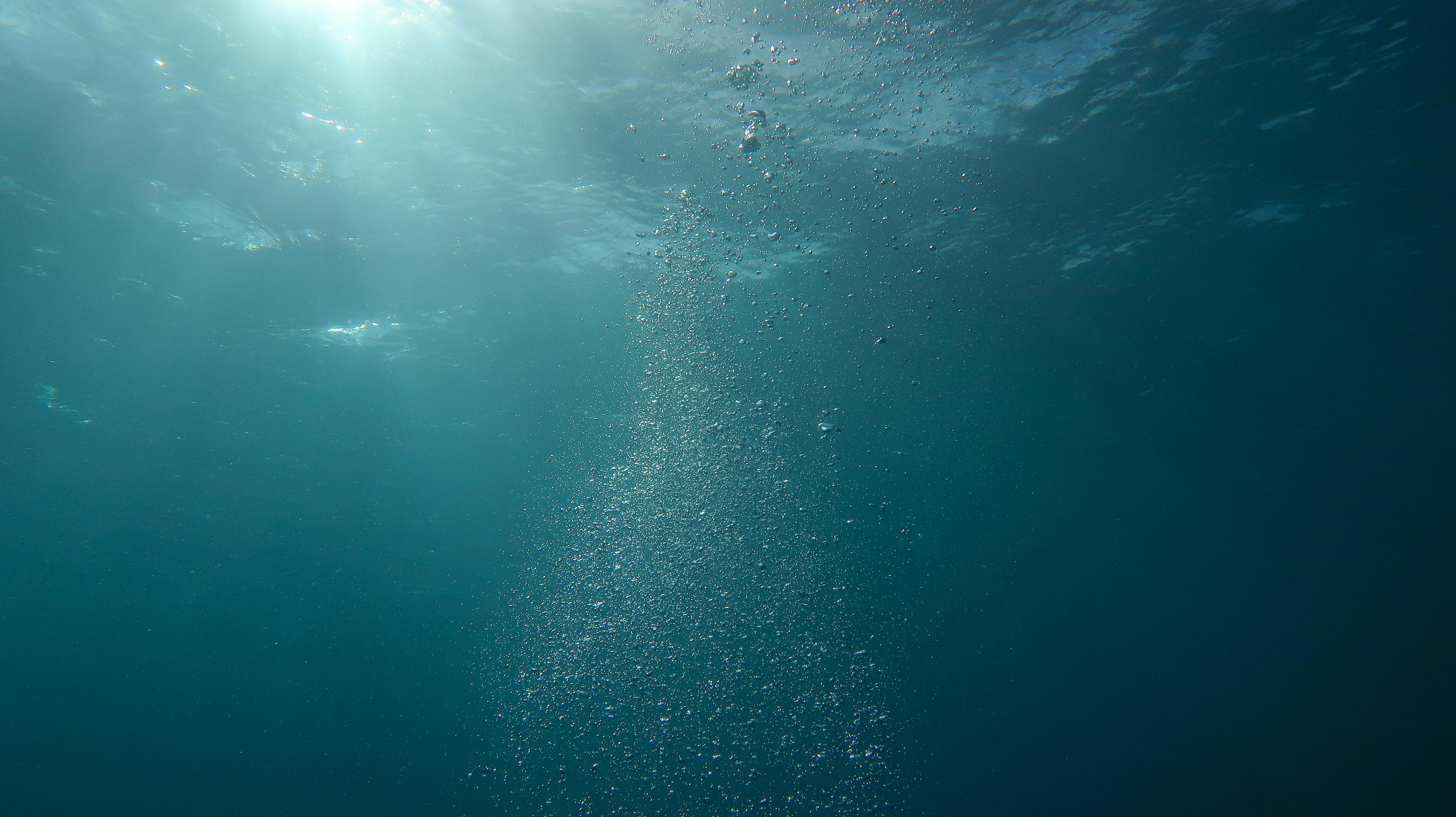 "Dive into the Depths: The Rising Popularity of Underwater Performances"