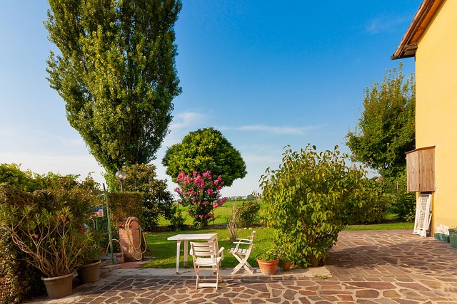 Markisen für die perfekte Terrasse: Ihr neuer Lieblingsplatz