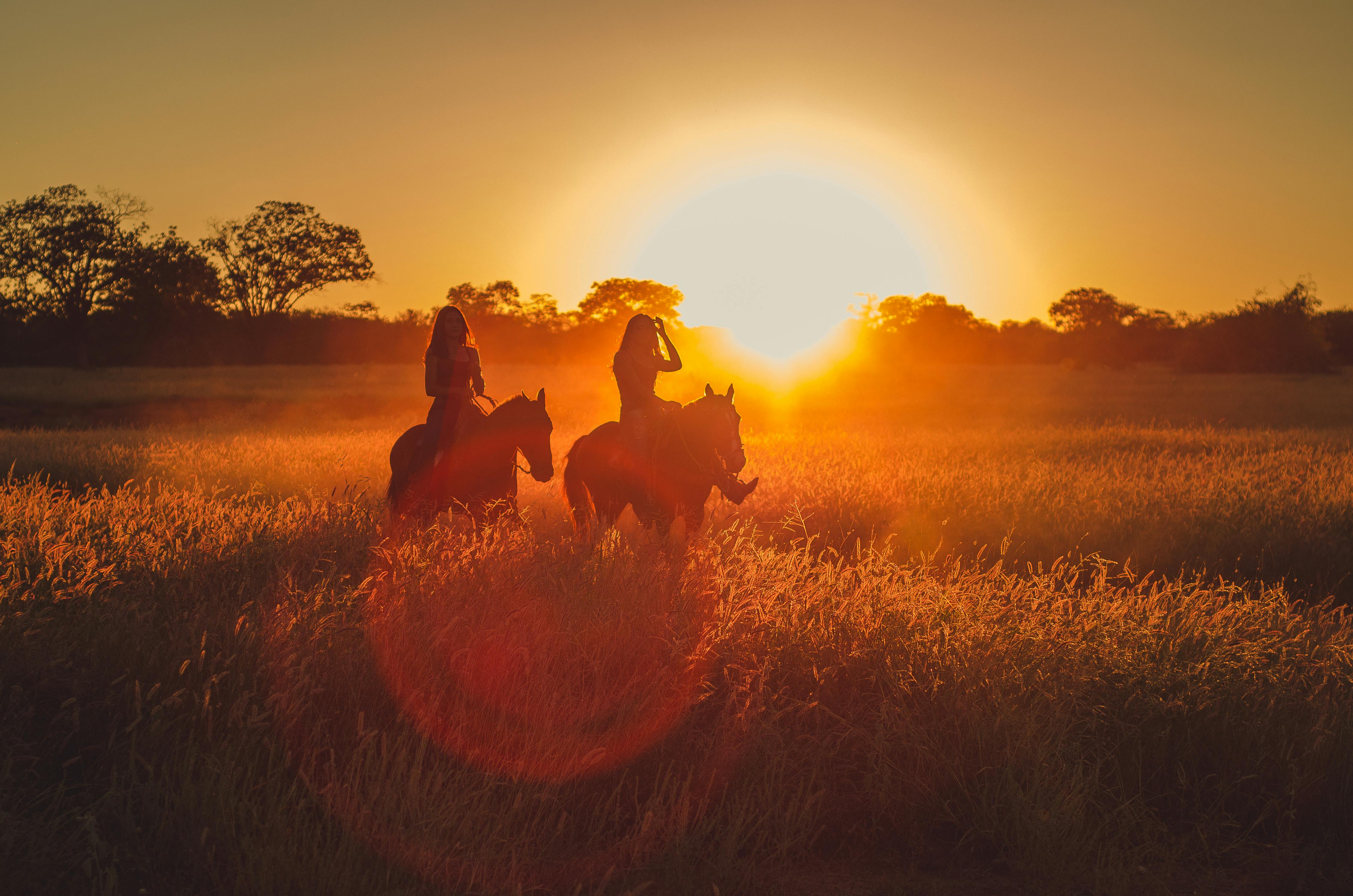 The Renaissance of Forgotten Travel Modes: A Glimpse into the World of Horseback and Walking Tours