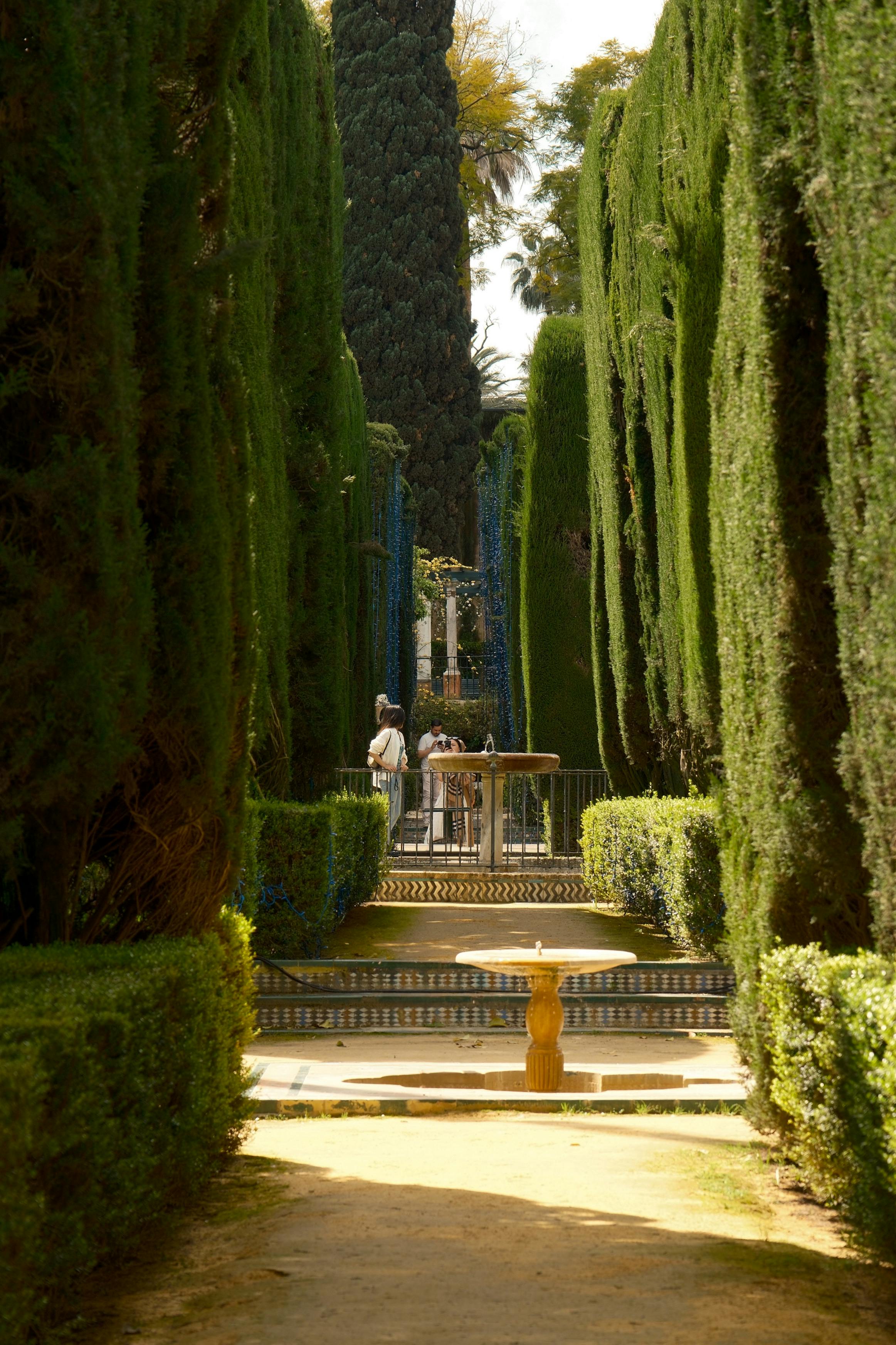 Reimagining Urban Green Spaces: A New Social Fabric