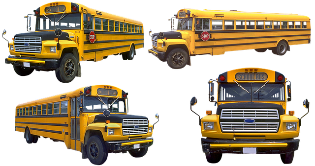 A Guide to CDL Training Jobs for New Drivers in the USA