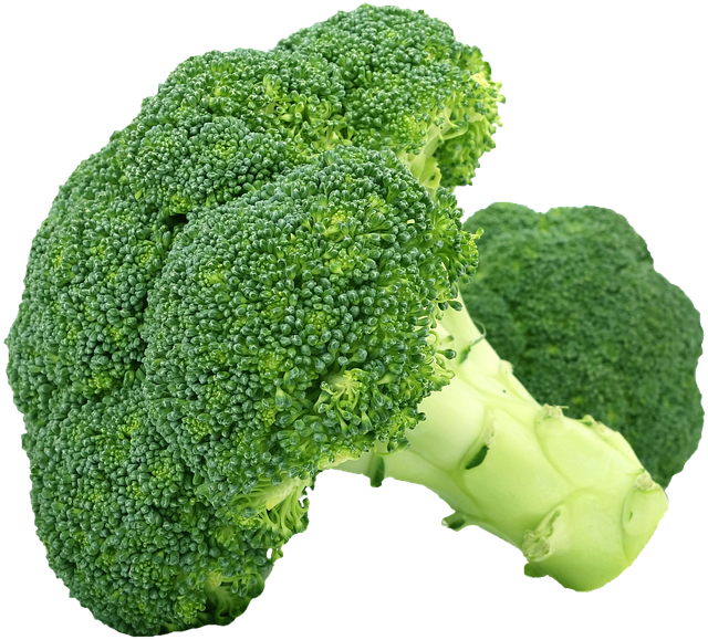 The Power of Plant-Based Diets: A Deep Dive into their Nutritional Benefits and Impact on Health