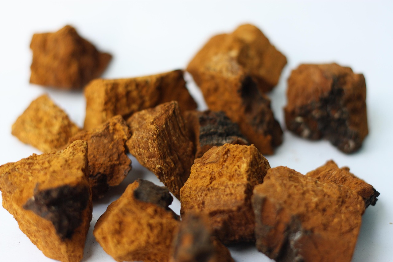 The Unfolding Story of Adaptogens in Beauty and Fitness