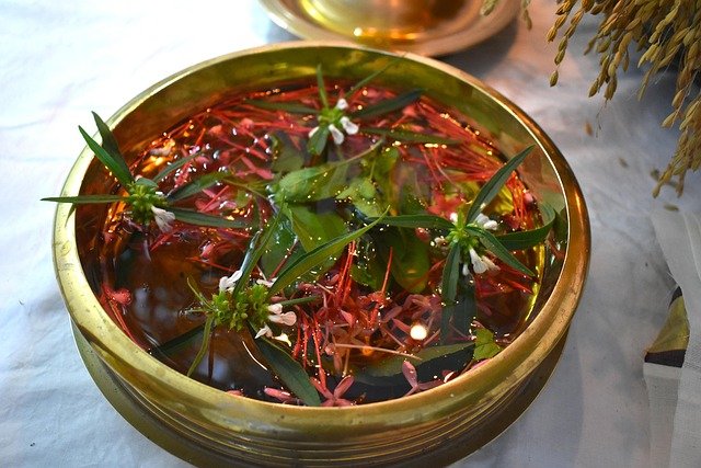 云南野生食材：探索中国最神秘的美食宝库