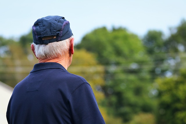 Beräkna Pension på ett Enkelt och Effektivt Sätt