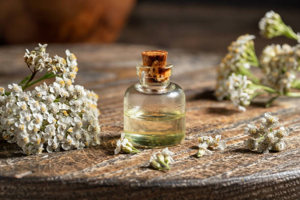 Unveiling the Therapeutic Potential of Aromatherapy: A Breath of Fresh Air for Wellness