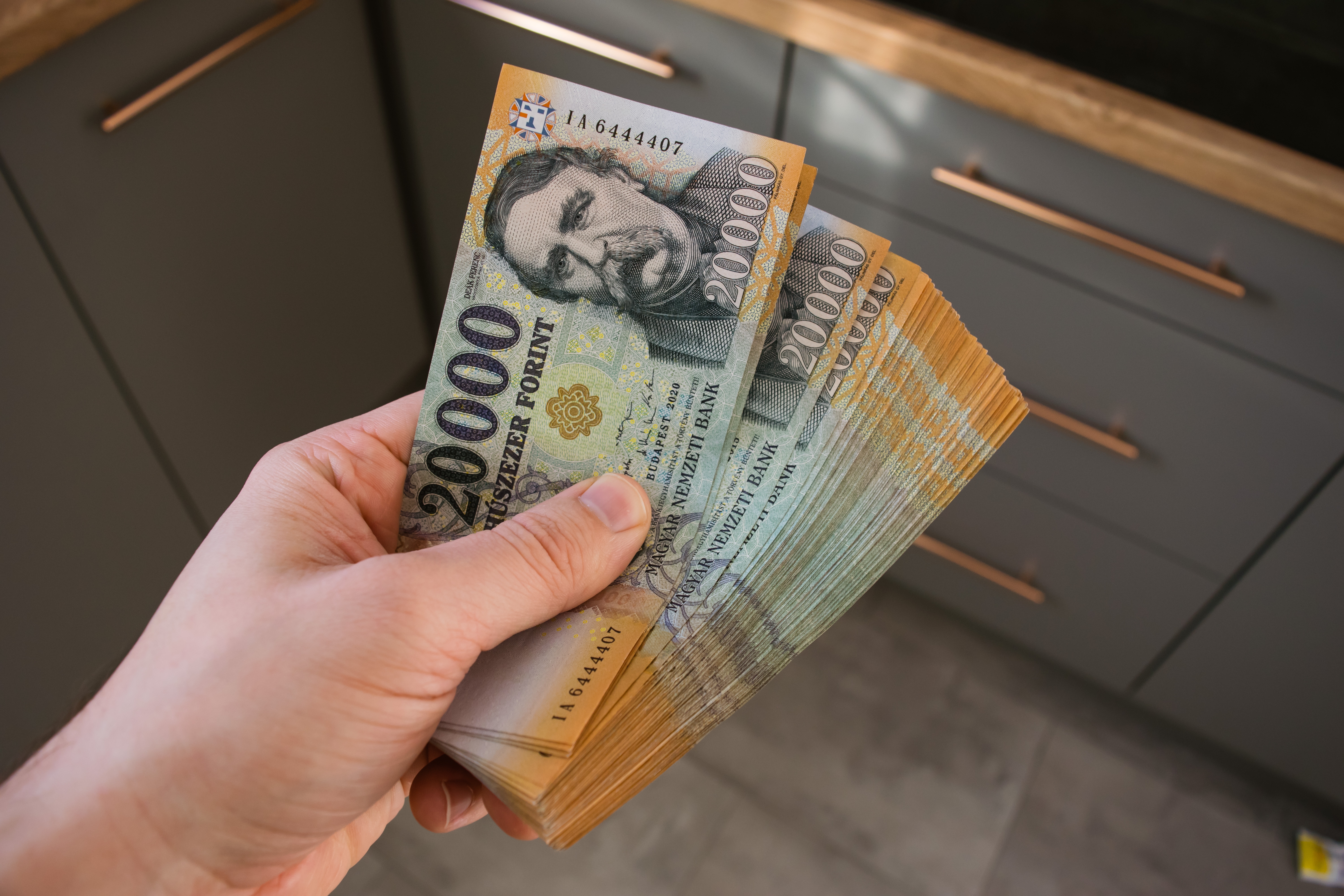 Explore loan options and how they work