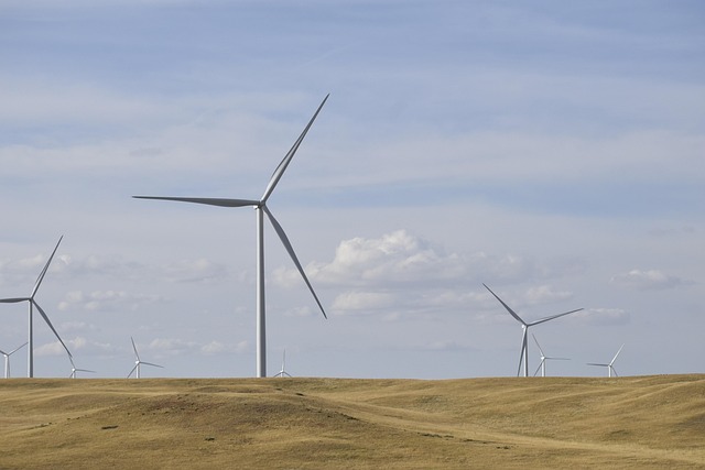Windkraftanlagen für Eigenheime und Industrie: Eine Übersicht