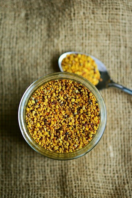 The Plant-Based Diet: A Comprehensive Guide for Sustainable Health