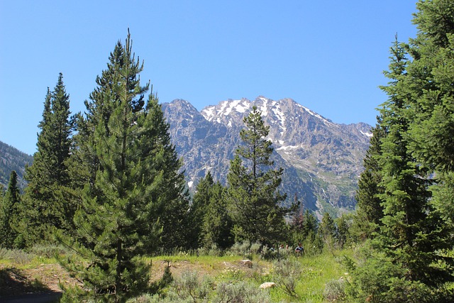 Volunteer Work in Switzerland: Join Community and Protect Nature