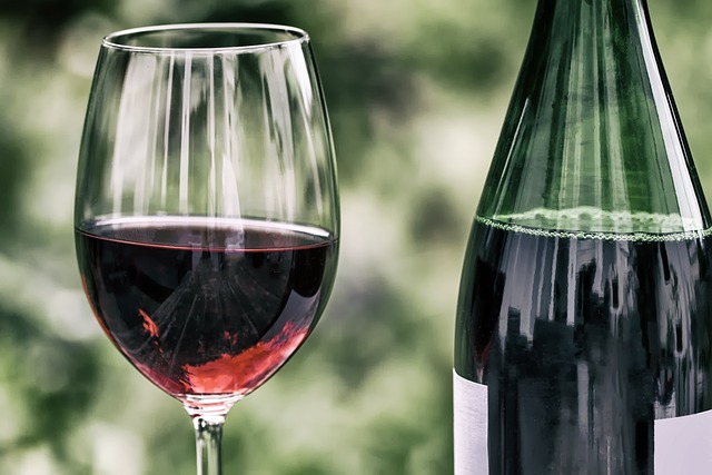 Guía Completa del Vino: Todo lo que Necesitas Saber