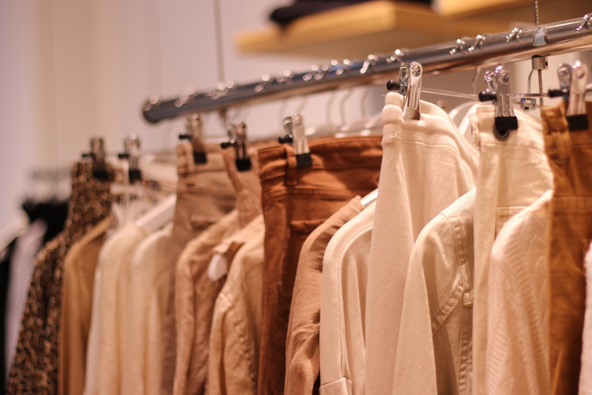 Posh Palette: Discover the Chic Appeal of Earth Tones