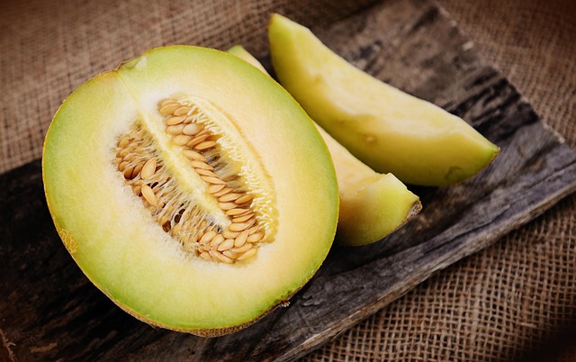 The Power of Plant-Based Diets: A Nutritional Perspective
