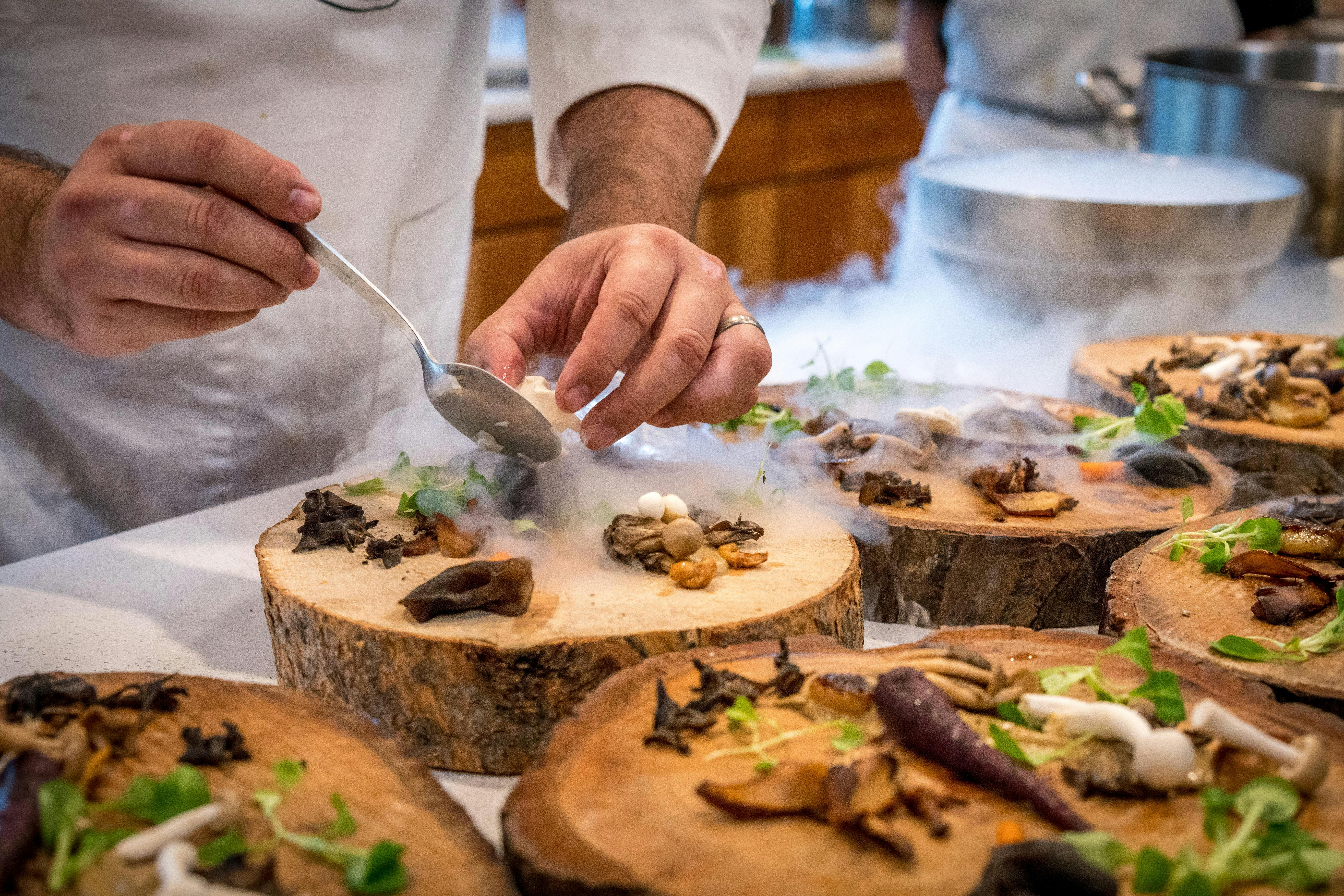 An Exciting Journey Through the World of Edible Insects