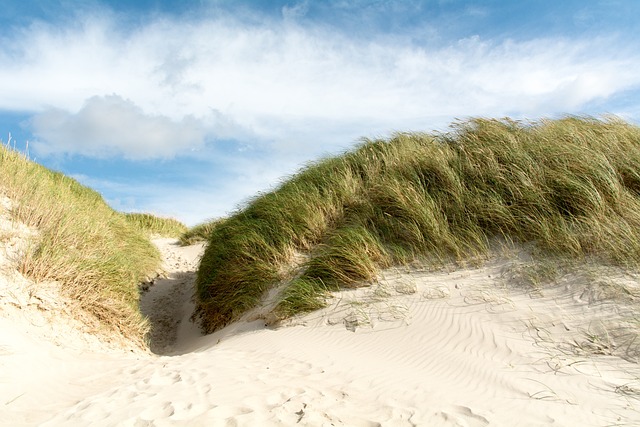 Ferienhäuser am Henne Strand: Ihr ideales Urlaubsziel