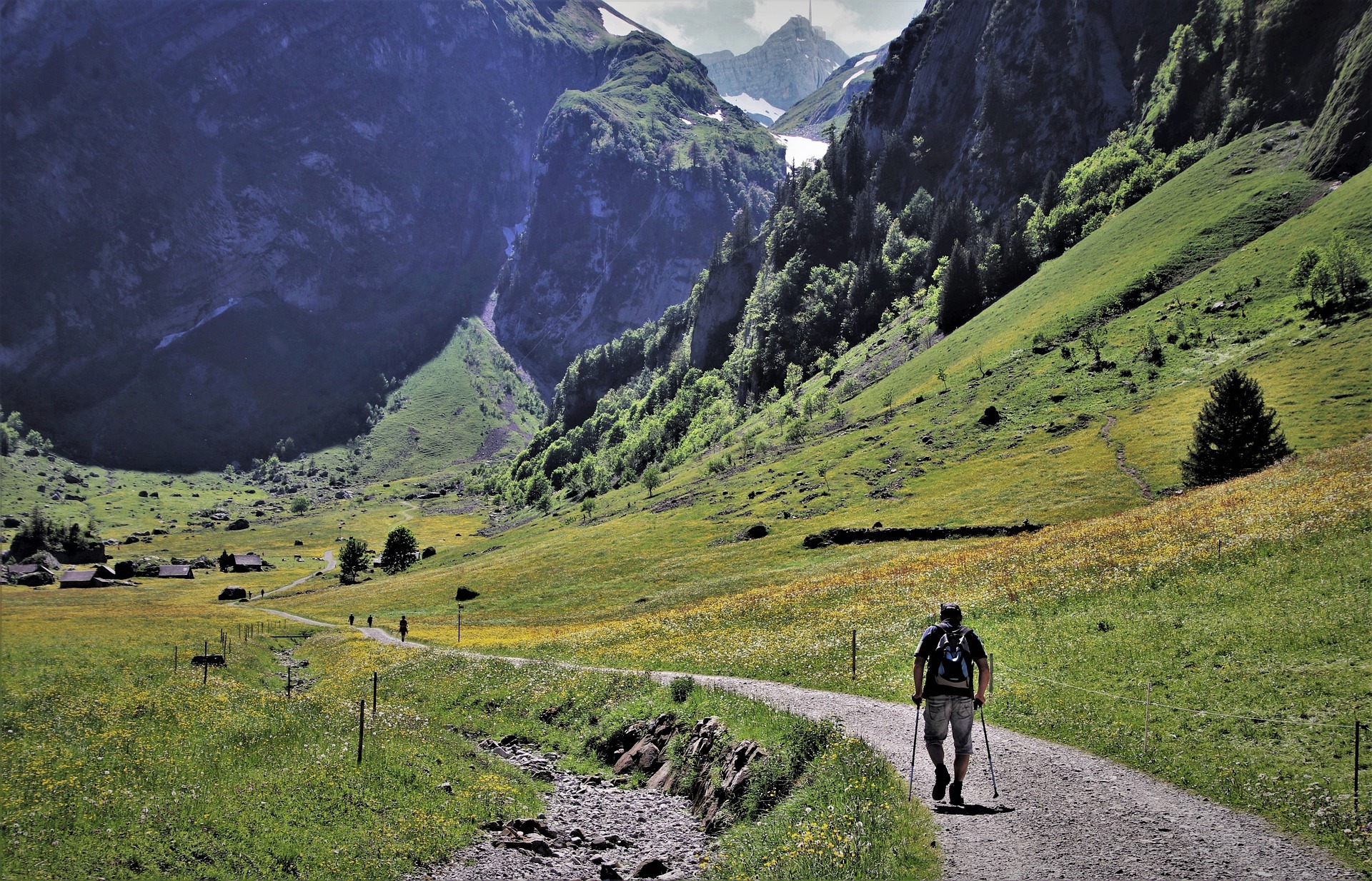 Rediscovering Travel: The Attraction of Specialty Farms and Agricultural Tourism