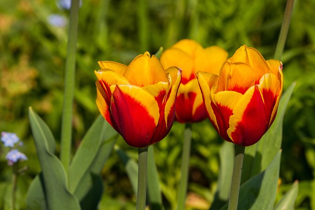 Kreative Wege, um Geld zu verdienen