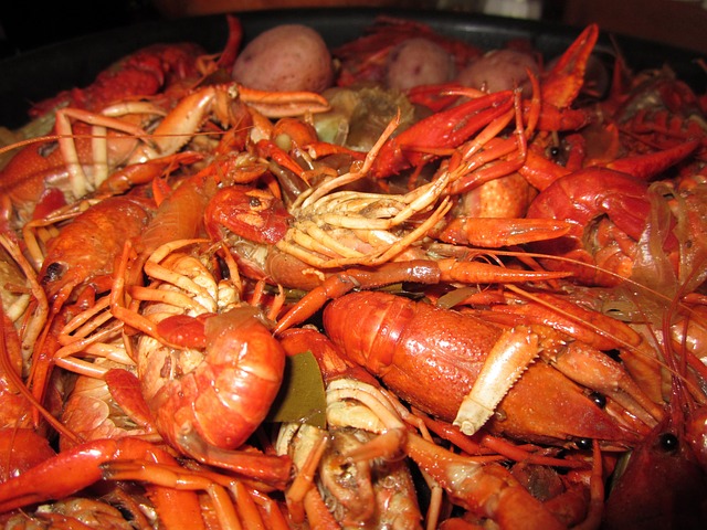 Découvrez le Homard Bleu de Luxe