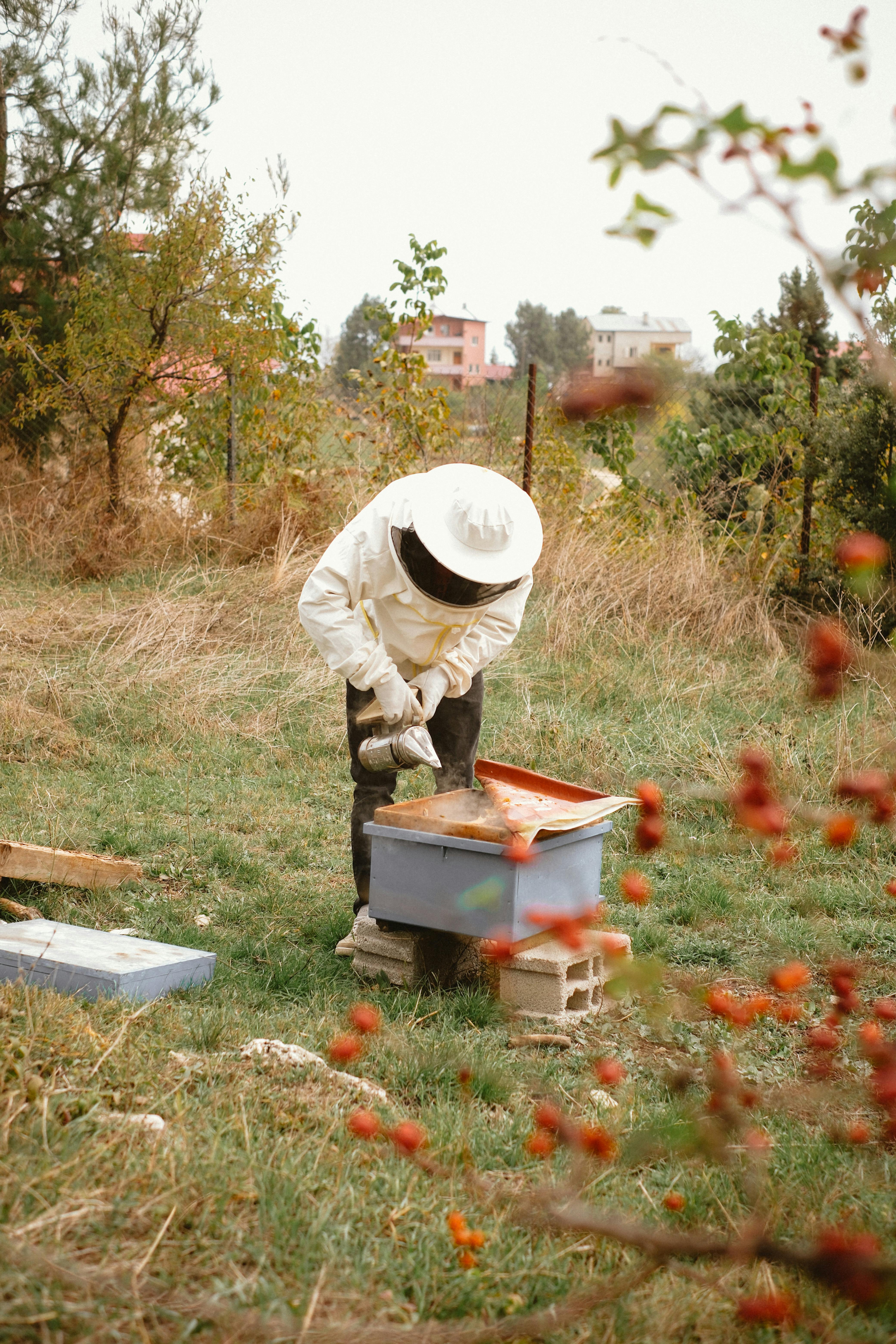 The Rising Trend of Urban Beekeeping: A Buzz-worthy Phenomenon
