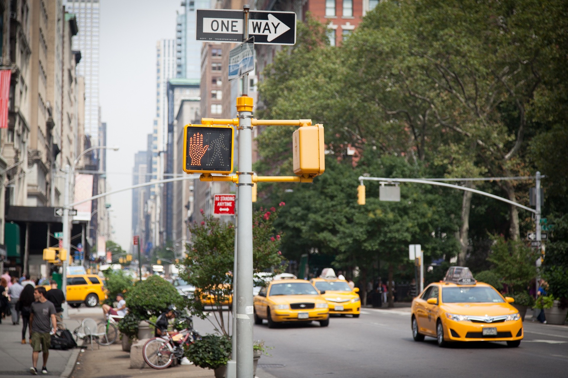 Rediscovering America: The Rise of Domestic Tourism in the USA