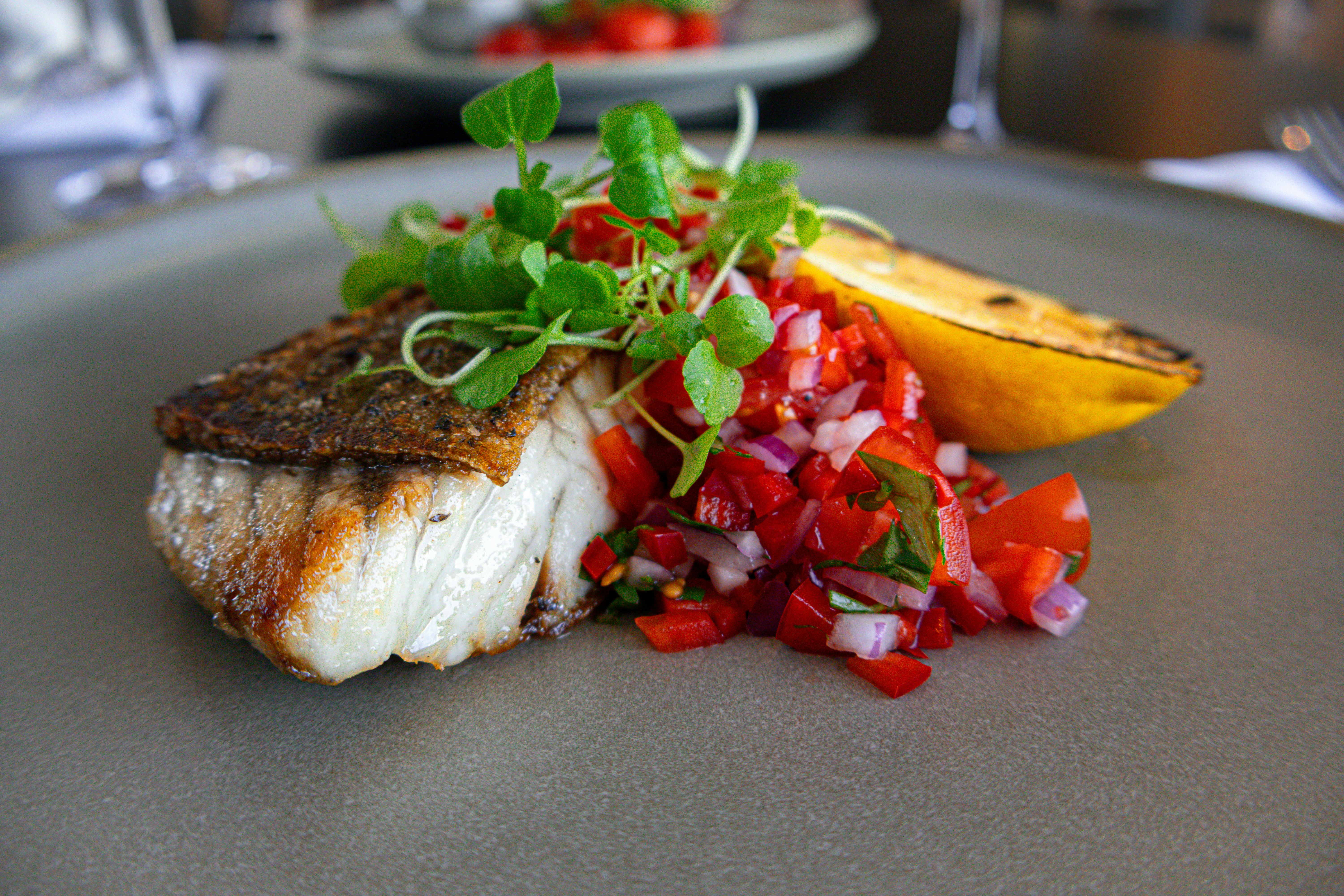 Diving into the Diverse World of Australian Bush Tucker