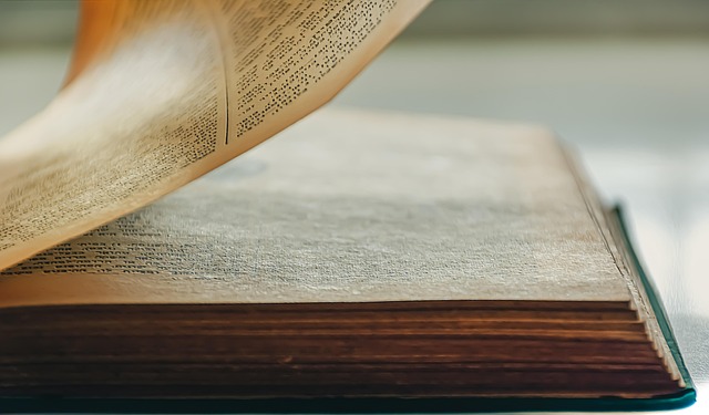 Aviation Training Programs for English Speakers in Anmore