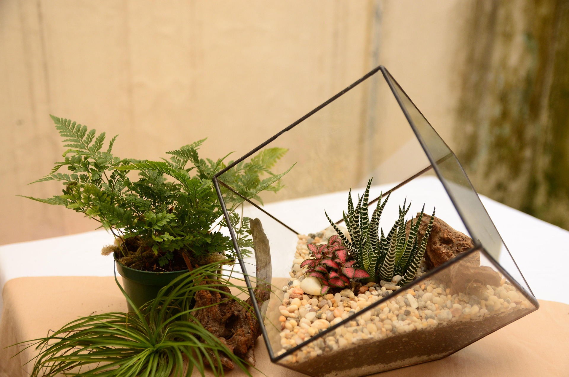 A Closer Look at the Growing Trend of Bioactive Terrariums for Reptiles 