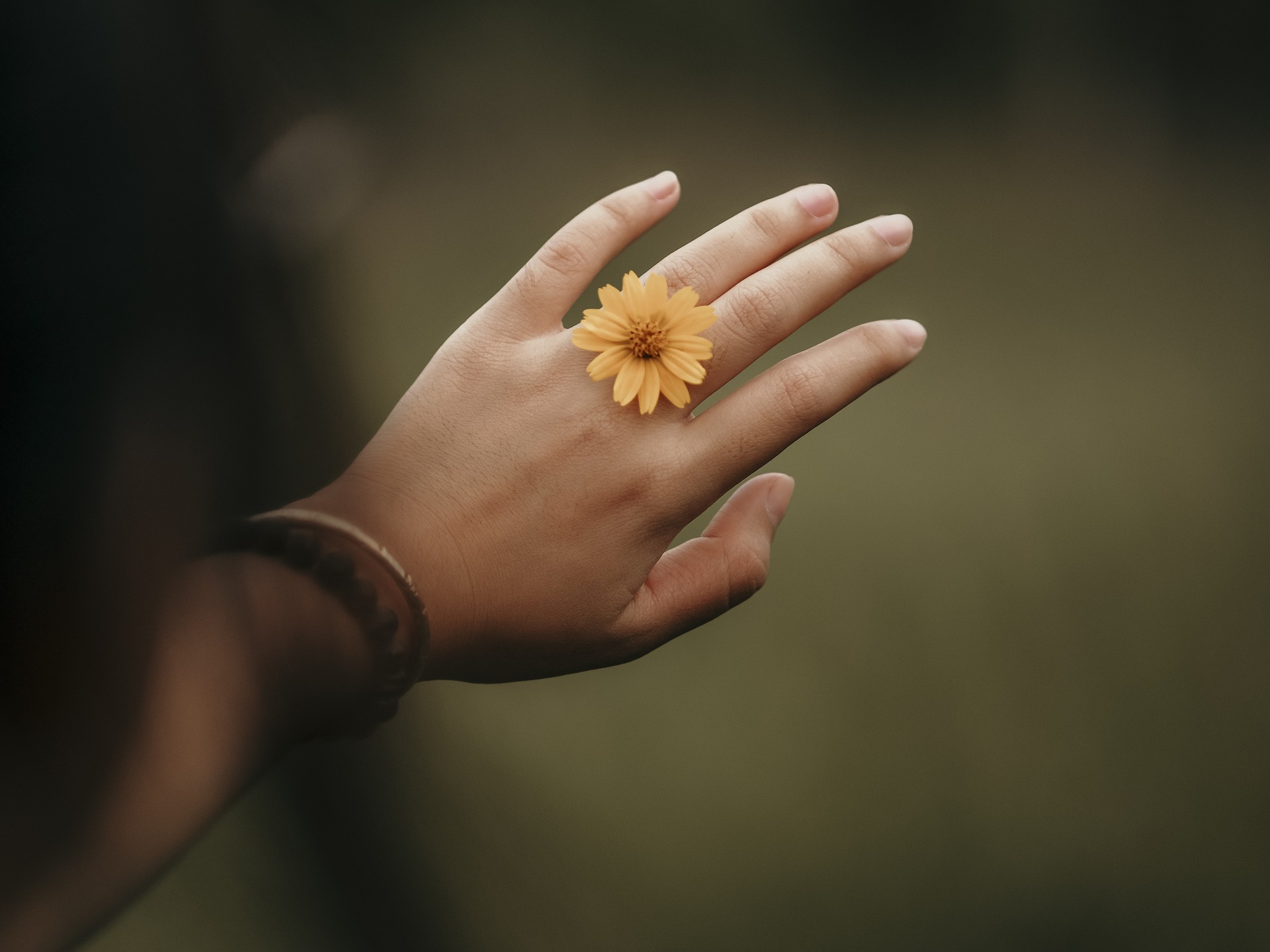 A Deep Dive into the Science and Benefits of Breathwork