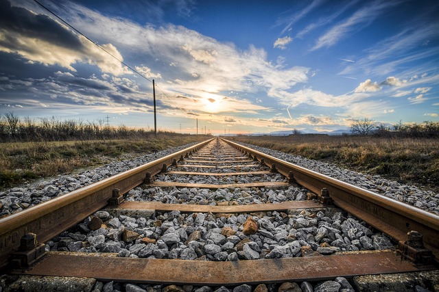 Exploring Michigan's Cherry Blossoms by Train: A Unique Travel Experience