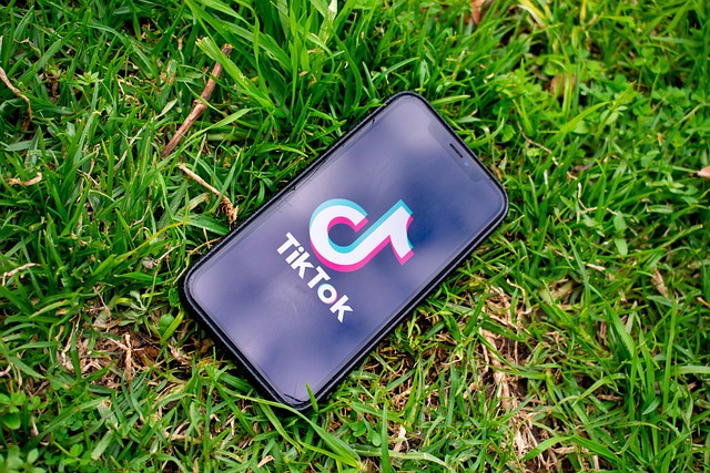 Tik Tok Takipçi Nedir ve Nasıl Artar?