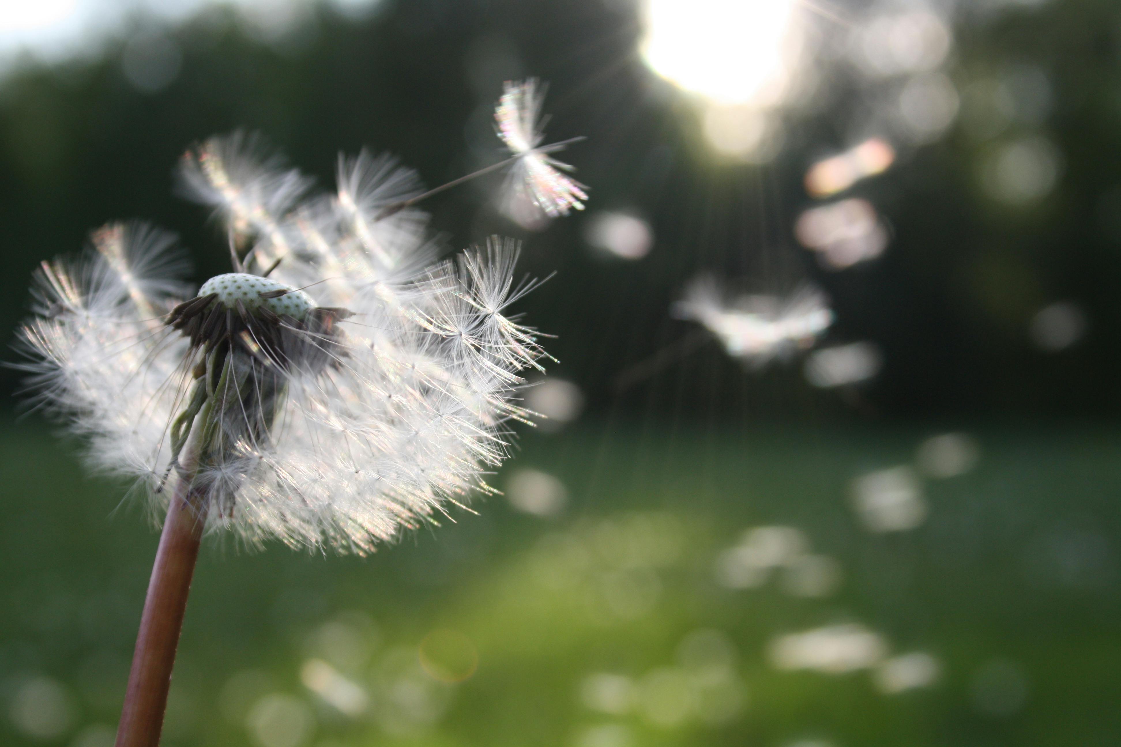 Discovering the Health Impact of Clean Air: A Deeper Look