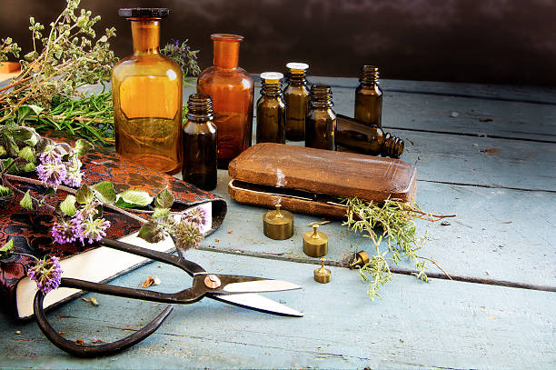 Culinary Alchemy: Transforming Humble Ingredients into Gourmet Delights