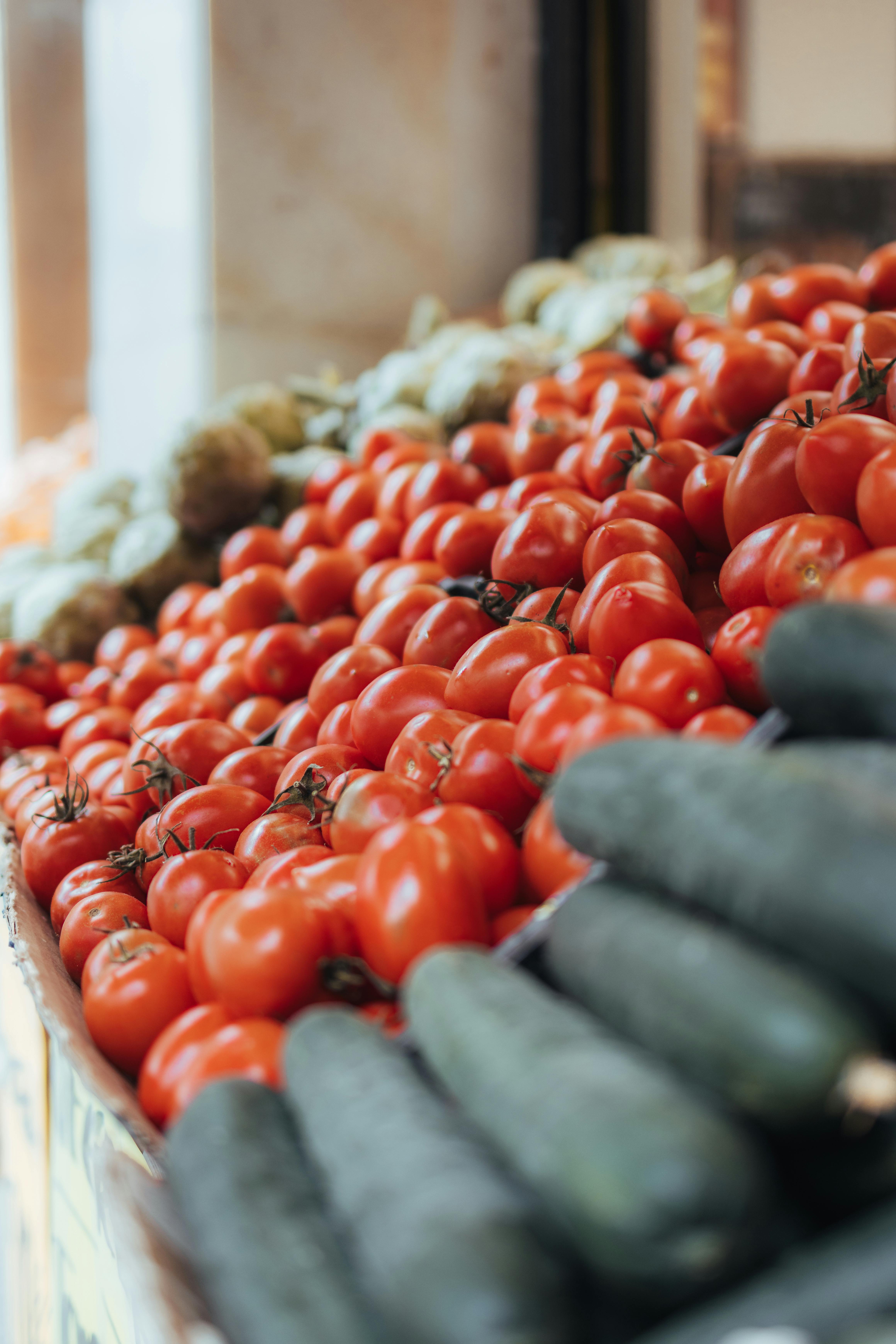 Experiencing the Culinary Diversity of Spain: Beyond Tapas and Paella