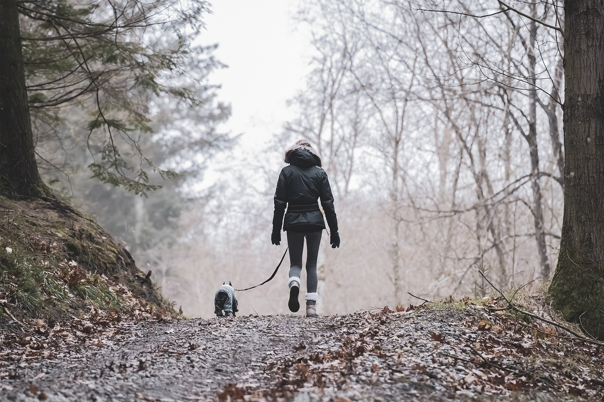 A Importância da Socialização para Cães e Gatos: Como Fazer da Maneira Certa