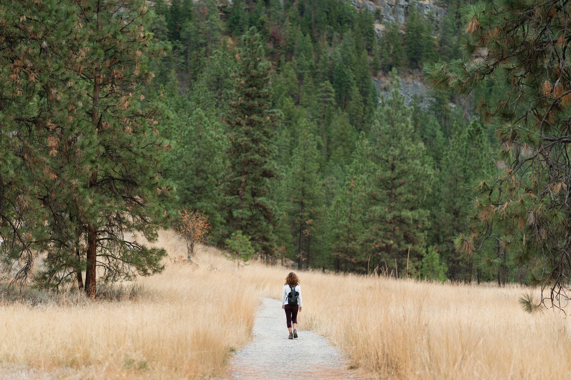 Discovering the Beauty of Cycle Tourism: A Sustainable and Enriching Travel Trend
